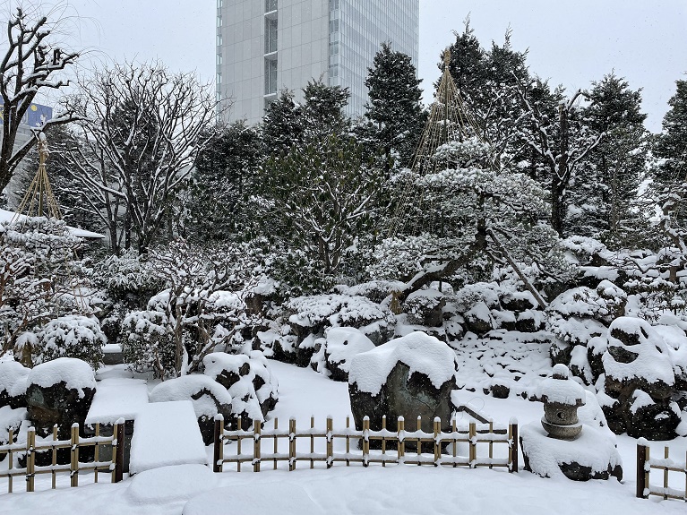 雪をかぶった庭園の石灯籠と飛び石、雪吊を施した松などの木々